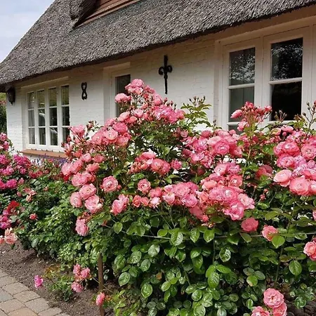 別荘 Haushaelfte A Heini Id 431 Poppenbüll